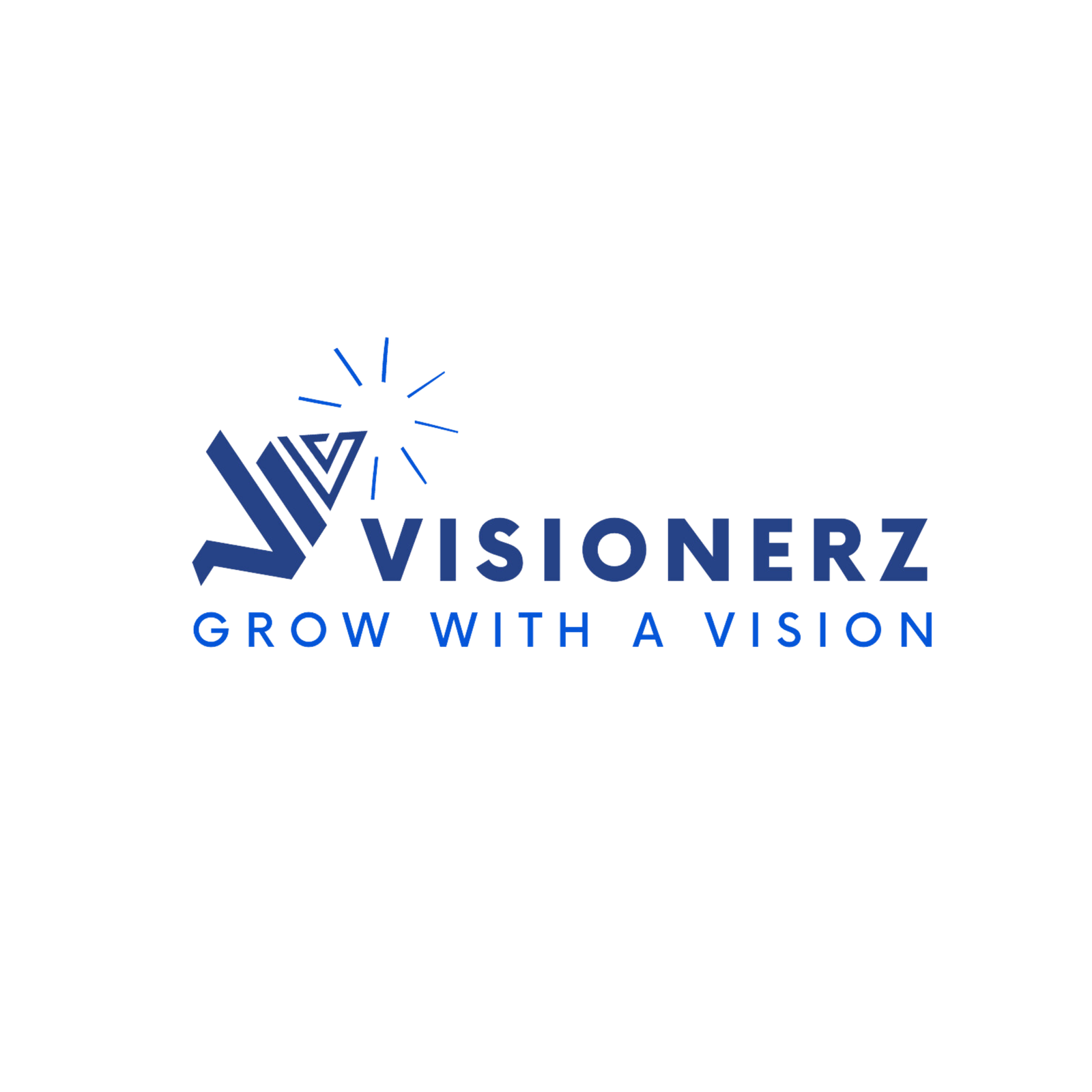 Visionerz